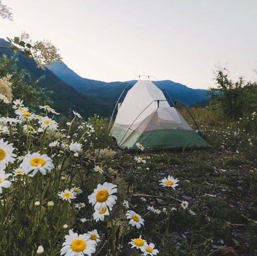 FEELS LIKE SPRING!Photo by: @masonstrehl #ourcamplife