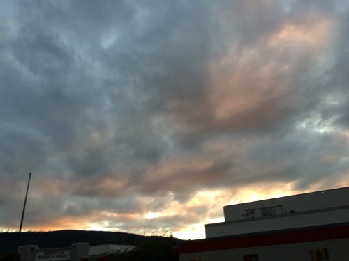 aerations:  Schools are stupid but the sky is beautiful