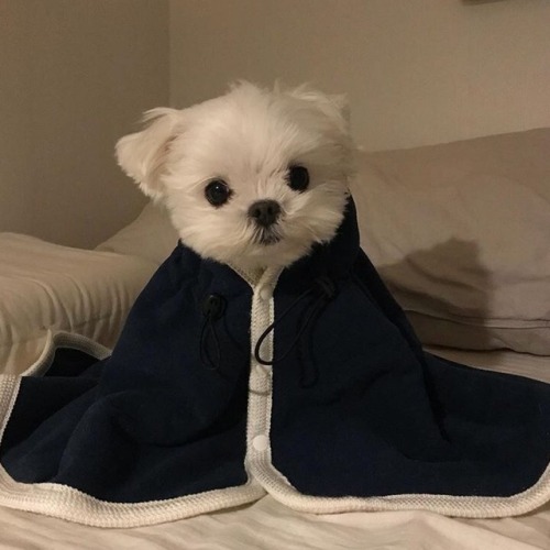 loevsick:https://instagram.com/p/Bblb8t3FPfD/
