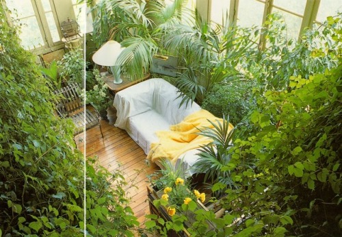 solarpunk-aesthetic:Terrence Conran’s Decorating With PlantsSusan Conder(via)