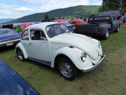 fromcruise-instoconcours:  VW Beetle