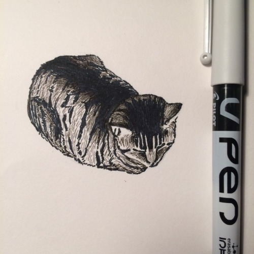 enfant–terrible:a v neat loaf for ink practice