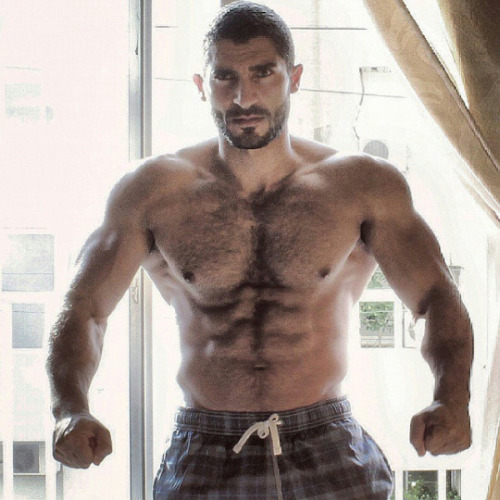 hairymacho:http://hairymacho.tumblr.com/ ▲ ✕“Hey you. Yes you.  I saw you staring at me while I was 