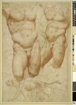 boysnmenart:Two studies of a nude male torso,