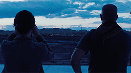 allfonsocuaron:In Mexico, Sicario means hitman