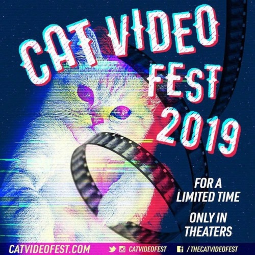 M’EOW! Rivet will be set up this Sunday in the @gatewayfilmcenter lobby to celebrate the @catvideofe