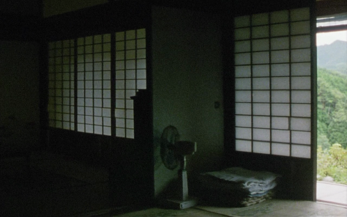 365filmsbyauroranocte: Moe no suzaku (Naomi Kawase, 1997)