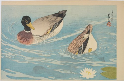 mia-japanese-korean: Ducks, Hashiguchi Goyō, August 1920, Minneapolis Institute of Art: Japanese and