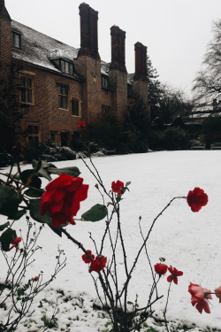 bloomsburys: snowfall at pembroke college,