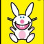 kmhappybunny240