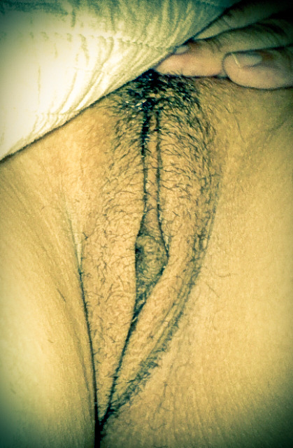 glamilf:  my hot wife?…to see more of her click here  Love to eat her pussy