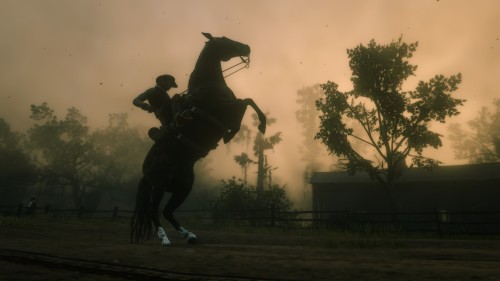 Some cool screenshots I took while playing RDR2