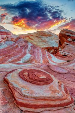 johnnythehorse:  Fire Wave - Valley of Fire