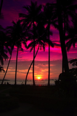 r2–d2:   Pacific Sunset, Costa Rica