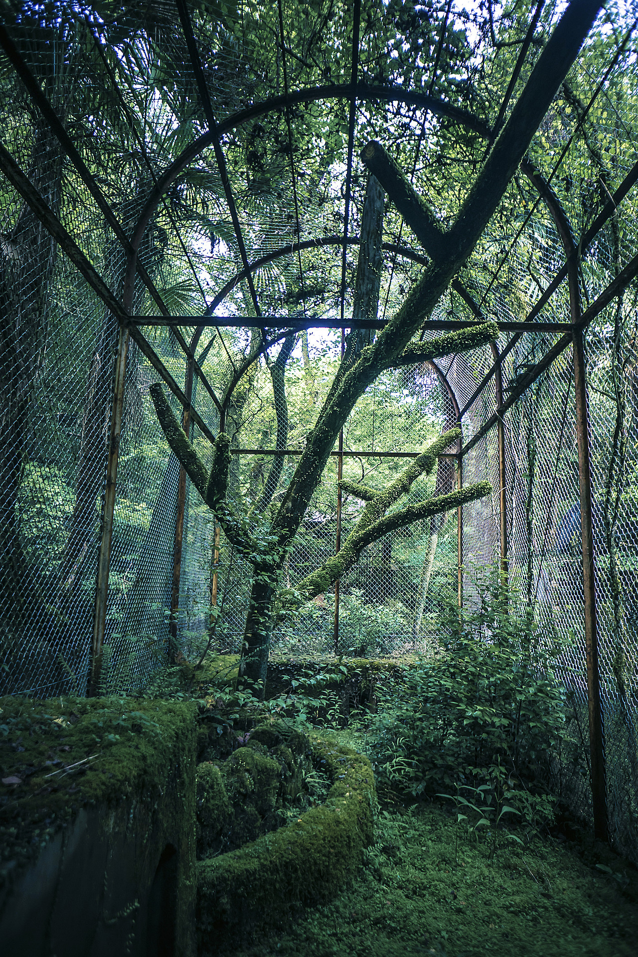 elugraphy:Abandoned   playground in forest 01.