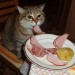 catasters: