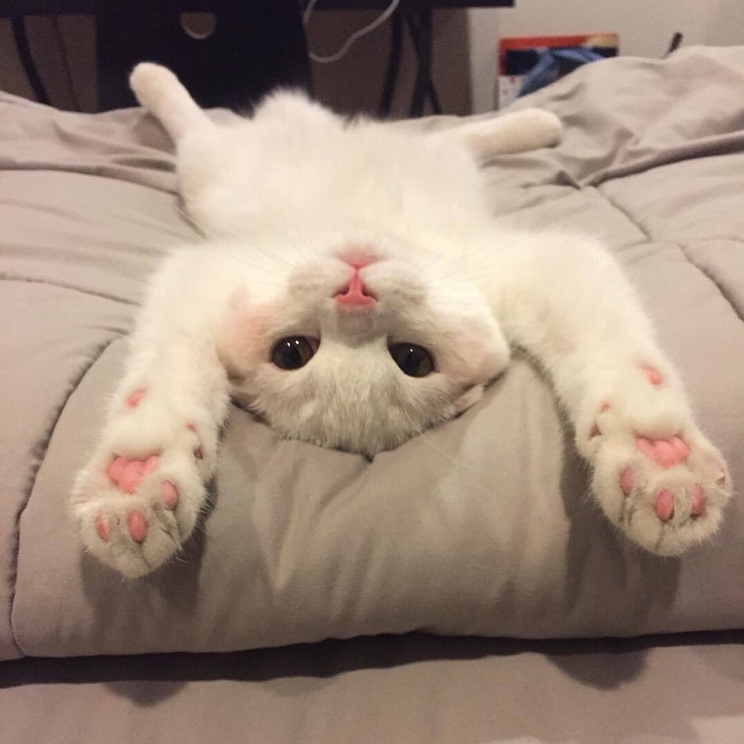 Me currently.