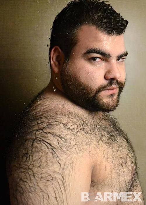 barebearx:  toposotes4truefans:  sepdxbear:  Woofy  Sexy calendar - Bearmex - * Sabu * -  ~~~~PLEASE FOLLOW ME ** ~ ♂♂ OVER 17,000 FOLLOWERS~~~~~~ http://barebearx.tumblr.com/ **for HAIRY men & SEXY men** http://manpiss.tumblr.com/ **for MANPISS