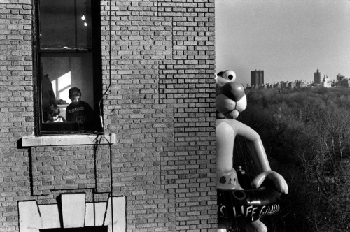 Elliott Erwitt - Macy’s Thanksgiving Day Parade, New York City, 1988.