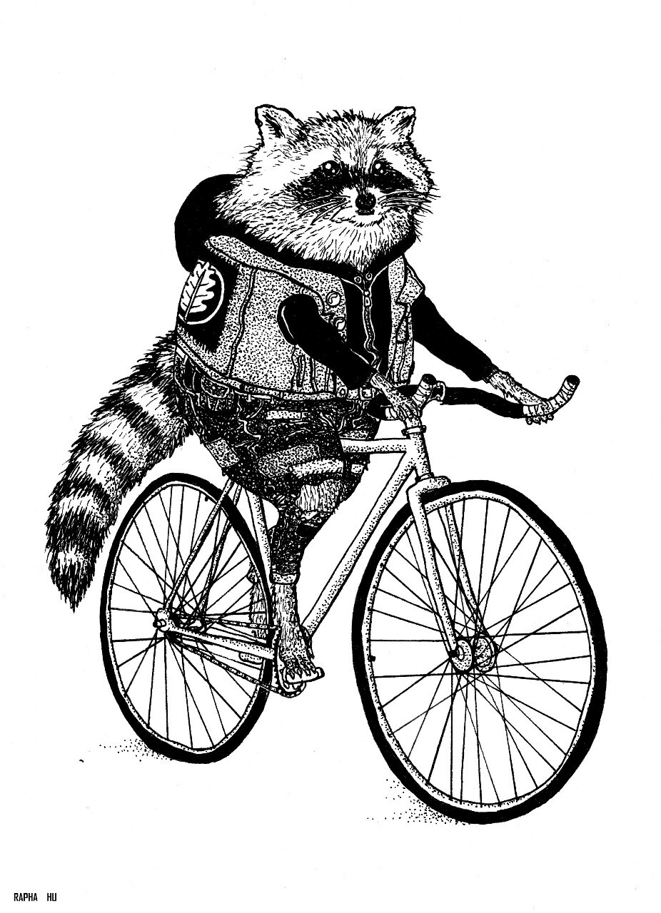 raphahu:Mapachito en bici