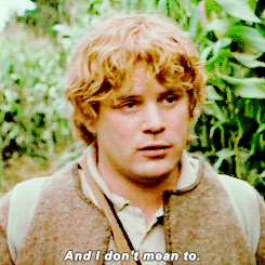 spidehman:You left out one of the chief characters. Samwise the Brave. I want to hear more about Sam