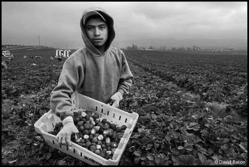 loquefuimos: David Bacon, En los campos del norte Cuartoscuro, Enero 2018