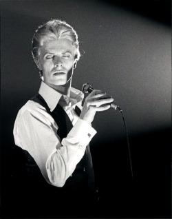 bewlayballad: David Bowie by Dee Lippingwell