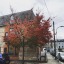 actuallyautumnalways