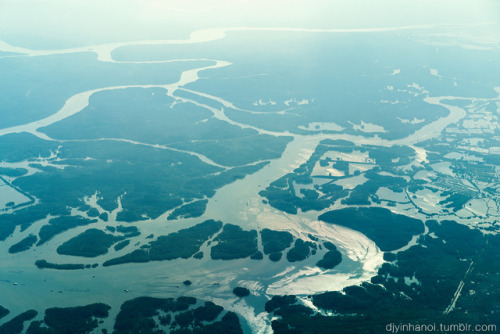 La dignité garde son rang, la hauteur l'exagère. Anne BarratinOver the Mekong Delta - 2019