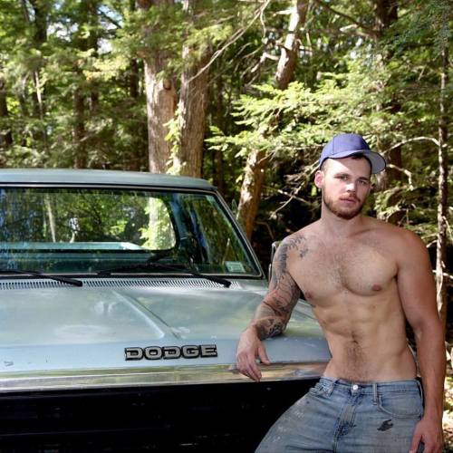 Males and tailpipes adult photos