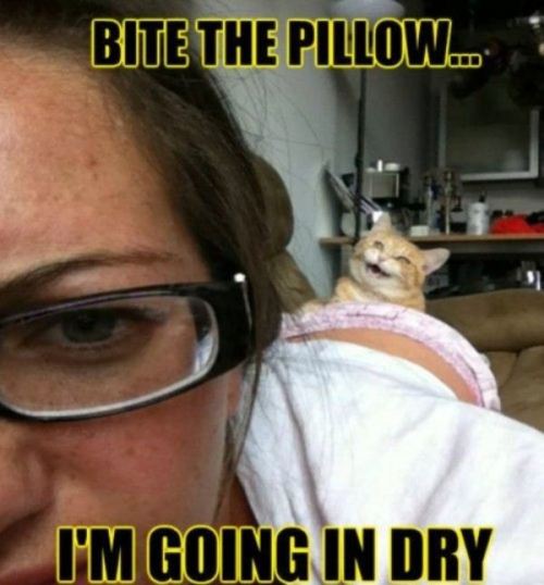 I literally laughed out loud on this one… lmao….