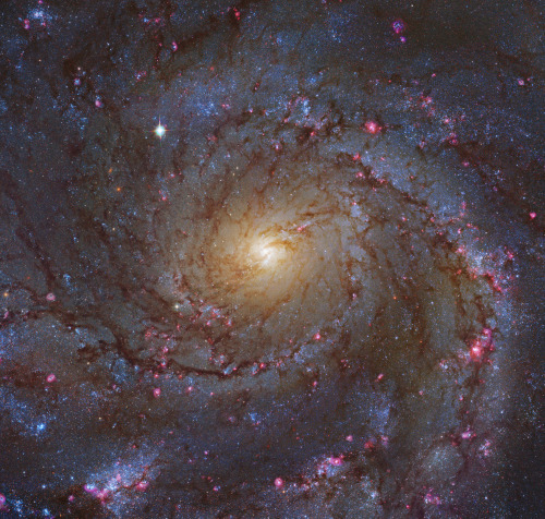 M101 - Pinwheel Galaxy Various Views