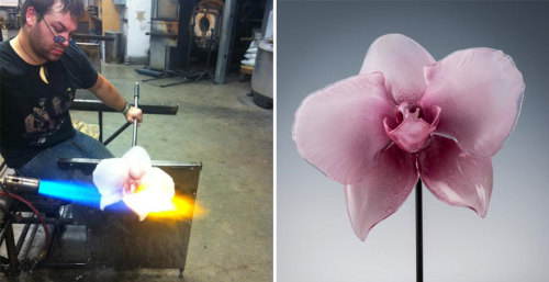 archiemcphee:  These stunning carnivorous plants and orchids require neither water, sunlight or insects in order to thrive. Instead they just new a gentle going over with feather duster every once in a while. That’s because they’re weren’t grown,