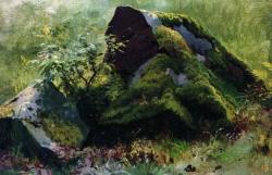 ivan-shishkin:  Stones