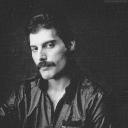 fuckyeahmercury:Freddie Mercury – 1981 Photos
