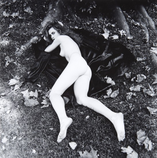 formerlyuncredited: Helmut Newton, Nude, lying down, by tree roots, 1989. Stampa