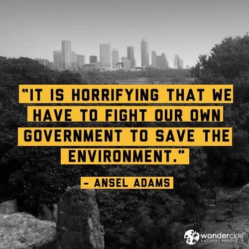brightngreen:  “It is horrifying that we have to fight our own government to save