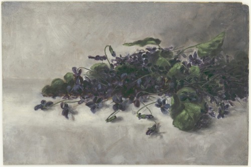 Violets, ca. 1890, Smithsonian: National Museum of African American History and CultureSize: H x W (