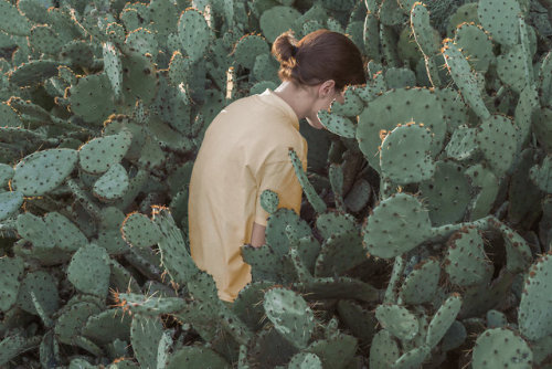hifructosemag: Brooke DiDonato’s photographs put a strange touch on ordinary Western backdrops. See 