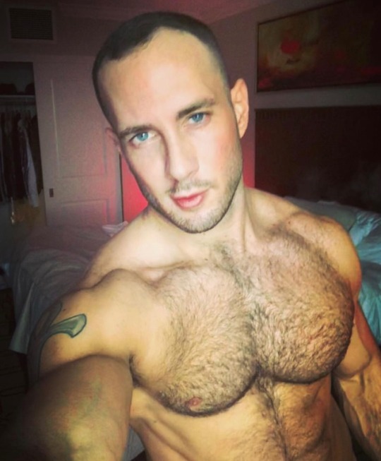 furrytrade:  Follow both of my blogs @ http://furrytrade.tumblr.com/ & http://dirtyrabbithole.tumblr.com