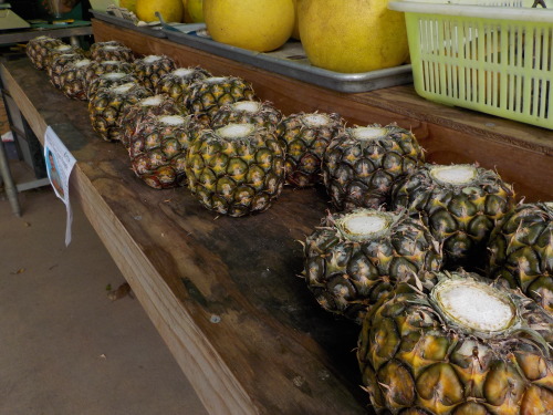 pineapple farm