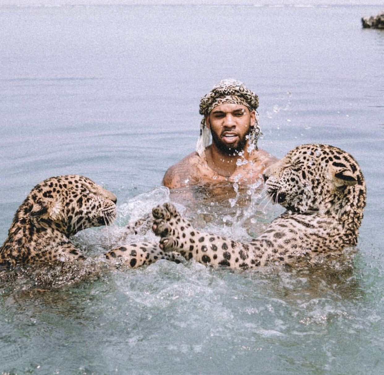 I Prefer The wild things