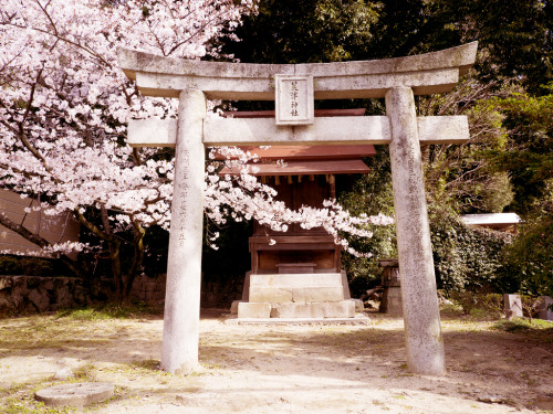 荒津神社 Aratsu Shrine || Original