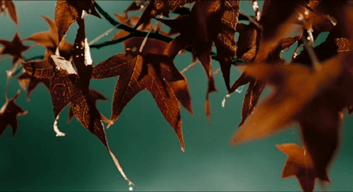Best Horror Movie ! 🍁