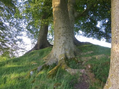 cottagesongs:I’d be running up that roadBe running up that hillWith no problems