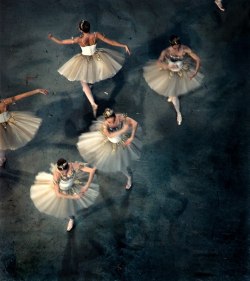 lasylphidedubolchoi:  Balanchine’s Diamonds