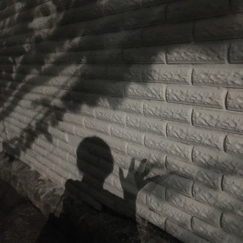 blssmjpg:instagram.com/p/BWXqilult5E/
