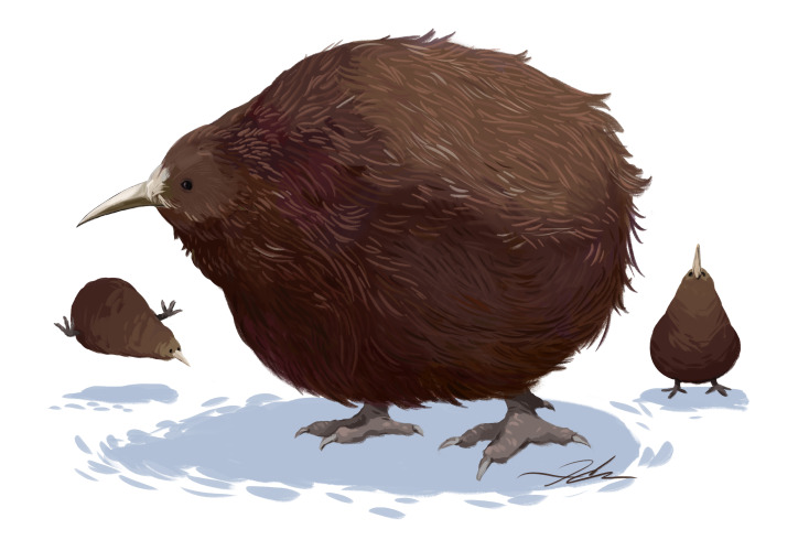 HC's Art Trove — Hairy Kiwi Bois for FAT Bird Friday » Etsy •...