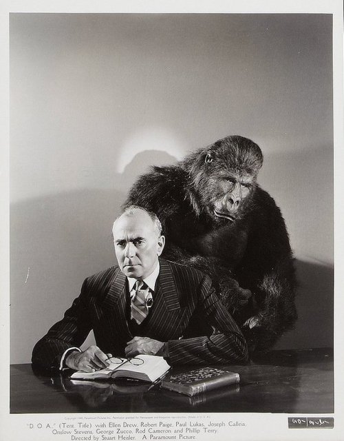 ronaldcmerchant:  the great George Zucco- The MONSTER AND THE GIRL (1941) He could take PRC and Monogram crap and make it watchable just because he was in it. 