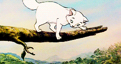disneyroyalty:  Duchess & Marierequested by kim 
